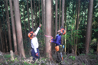 森町の山を元気にする仕事