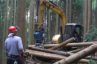 森町の山を元気にする仕事