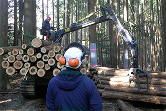 森町の山を元気にする仕事